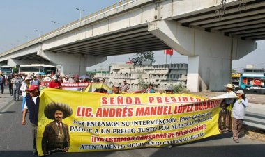 Buscan este lunes ejidatarios del  estado ser atendidos por AMLO