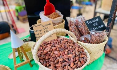 Llego a 105 ediciones el Mercadito Verde Morelos