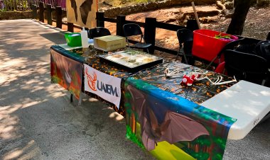 Prepara la UAEM programa de manejo de refugio de murciélagos en El Salitre