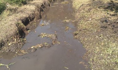 En Jiutepec, se limpian las barrancas y alcantarillas para evitar inundaciones