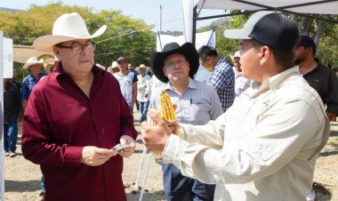 Avanza la reparación del puente Xochimilcatzingo