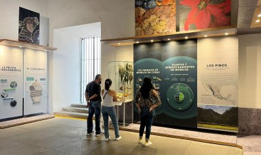 Celebra el gobierno estatal exhibición del Monstruo de la Tierra en Palacio de Cortés