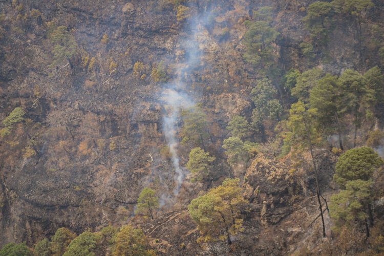 Hasta ayer, seguía el combate a un incendio forestal en Tepoztlán