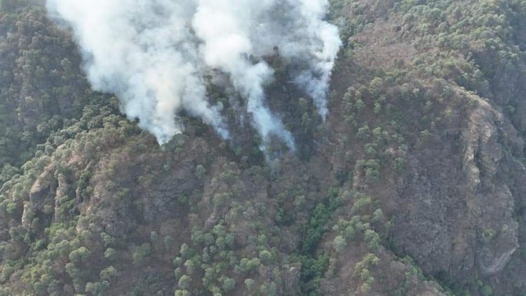 Dura lucha de combatientes del fuego con incendio en Tepoztlán-Tlayacapan
