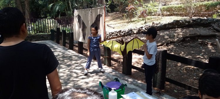 Prepara la UAEM programa de manejo de refugio de murciélagos en El Salitre