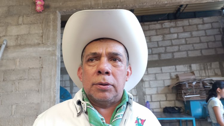 En producción de amaranto, Morelos depende completamente de Puebla