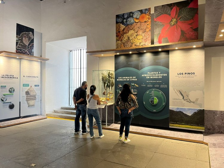 Celebra el gobierno estatal exhibición del Monstruo de la Tierra en Palacio de Cortés