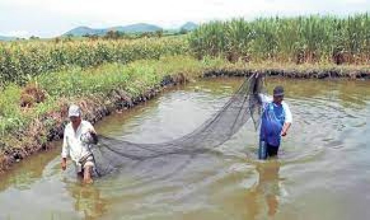 Chinameca va por rehabilitación de pozos ante gran falta de agua