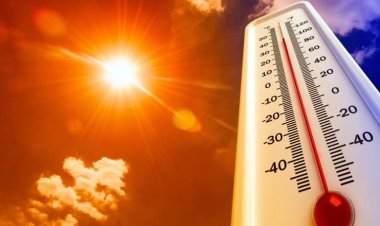 Vienen calores de hasta 40  grados este fin de semana