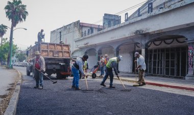 Inició las labores de poda y retiro de árboles secos en riesgo de colapso