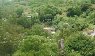 Revela investigador de la UAEM  beneficios de reforestación en Rebiosh