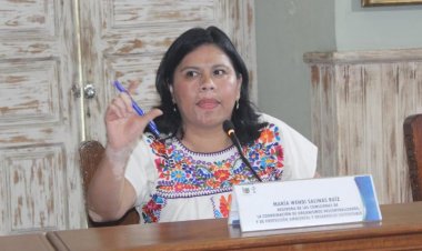 Concientiza gobierno de Cuernavaca,  sobre enfermedades como el vitíligo