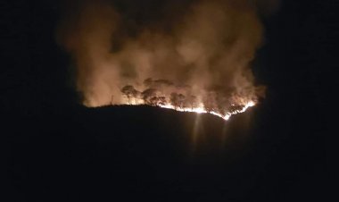 Reportan incendio forestal en el paraje ¨Las Carpas¨, en Lomas de Tetela