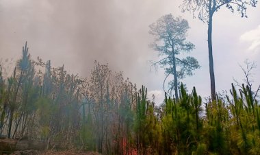 Avanzan en control del incendio  en Santa María en Cuernavaca