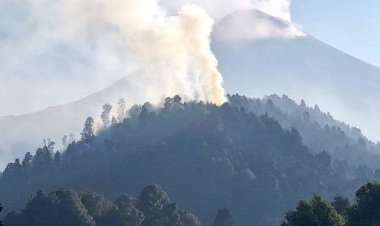 Siguen los incendios forestales;  ahora es en Tetela del Volcán