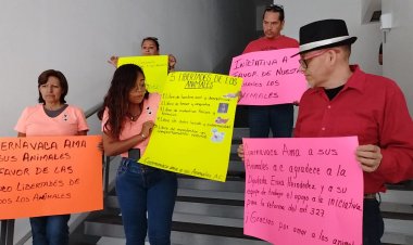 Demandan penas más severas  por violencia contra animales