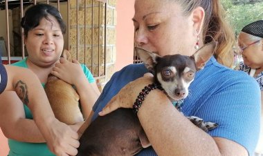 Fue abandonado proyecto para  detectar el cáncer con perros
