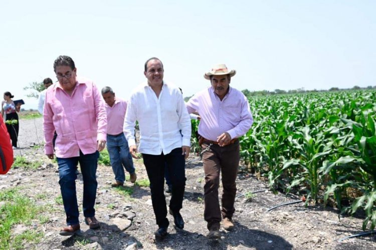 Garantiza Cuauhtémoc Blanco  acceso al agua en la entidad