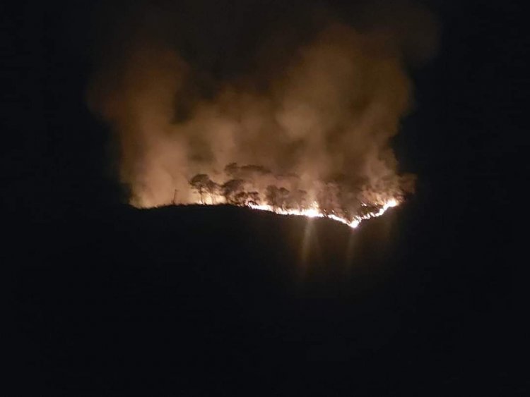 Reportan incendio forestal en el paraje ¨Las Carpas¨, en Lomas de Tetela