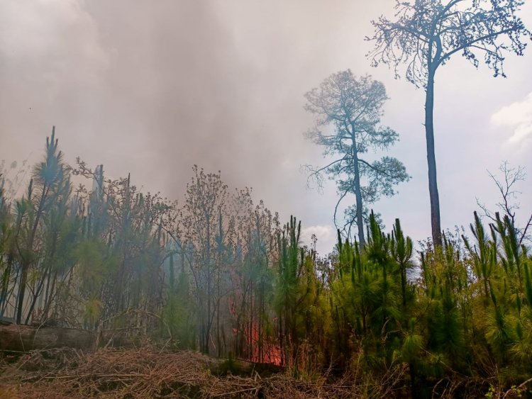 Condiciones climatológicas dificultan extinción de incendio en Santa María