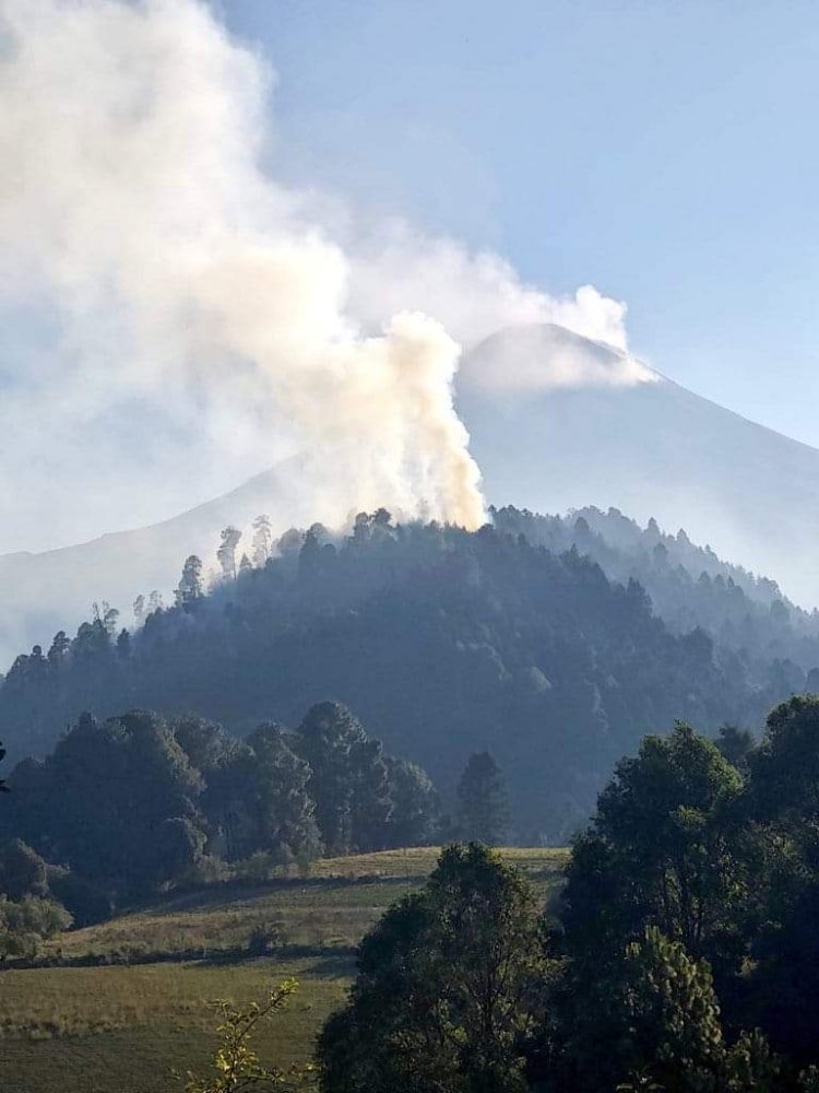 Siguen los incendios forestales;  ahora es en Tetela del Volcán