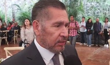 Reforzará Morelos su lucha  en contra de la tala irregular