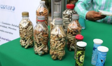 Morelos recicla colillas de cigarro; es el único estado con esa medida