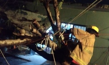 Secuelas varias por las lluvias en Cuernavaca y Yautepec