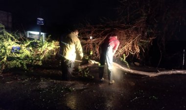 Daños varios por lluvias en madrugada de lunes