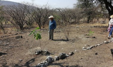 Señalan inutilidad de reforestar  si no cuidan árboles plantados