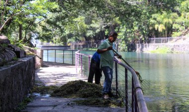 Concluyeron trabajos de saneamiento en el lago de del parque Chapultepec