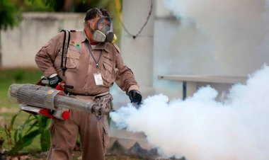 Reconoce Salud la proliferación  de casos de dengue en Cuautla