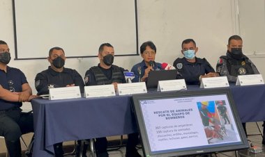 Hay algunos repartidores de comida dedicados a atracar