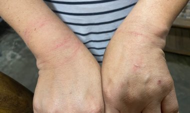 Difunden presuntas agresiones de  oficiales de Tránsito de Jiutepec