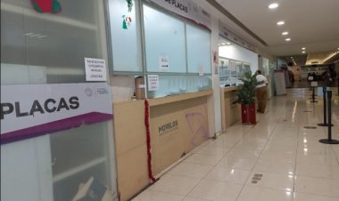Se reactivará entrega de placas  y tarjetas de circulación: SMyT