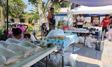 Con mucho en contra, piscicultores  quieren mantener ventas en tianguis