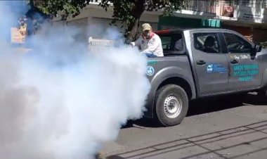 Intentarán fumigación contra mosquito del dengue en Cuernavaca