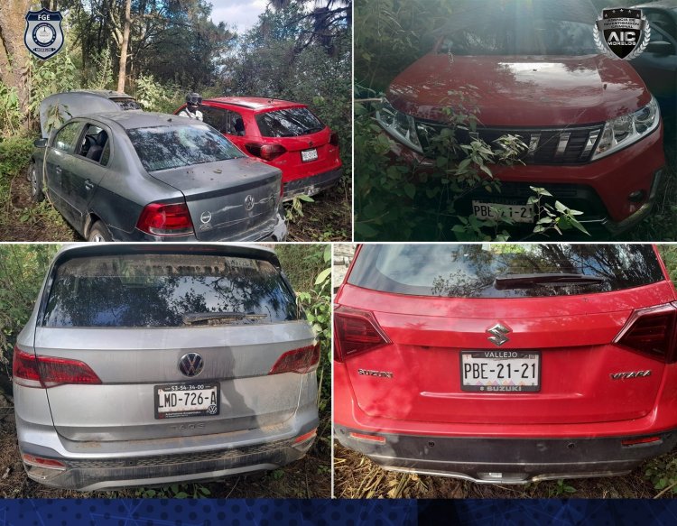 Escondidos en el bosque de Tres Marías,fueron recuperados 3 vehículos robados