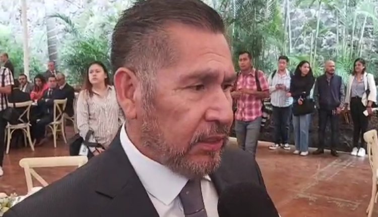 Reforzará Morelos su lucha  en contra de la tala irregular