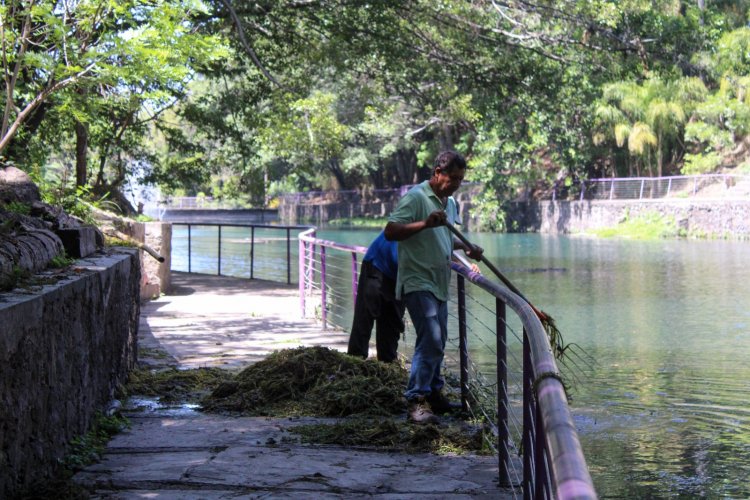 Concluyeron trabajos de saneamiento en el lago de del parque Chapultepec