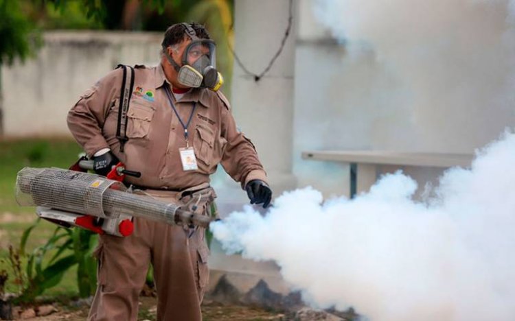 Reconoce Salud la proliferación  de casos de dengue en Cuautla
