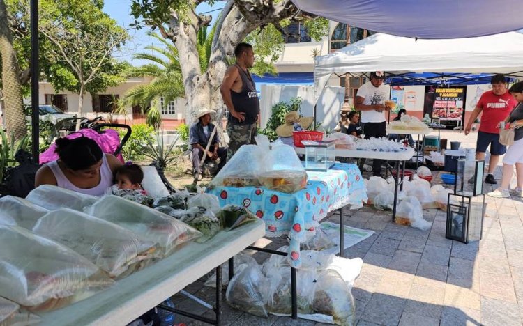 Con mucho en contra, piscicultores  quieren mantener ventas en tianguis