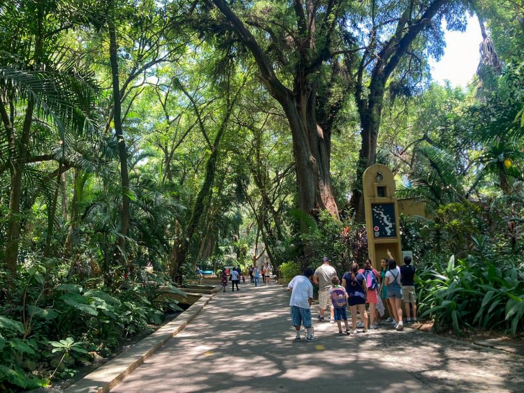Listo, el parque Chapultepec para recibir a visitantes en vacaciones