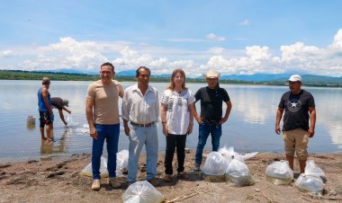 Primordial, el cuidado de la laguna de Coatetelco: Margarita González Saravia