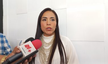 Faltan resultados en la Alerta de Violencia de Género: IMM