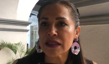 A 8 años de la AVG, brindan apoyo a miles de féminas en riesgo: IMC