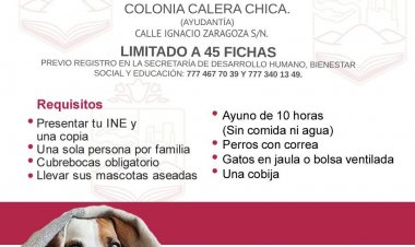 En Jiutepec, durante 2023 se ha esterilizado a mil 519 mascotas