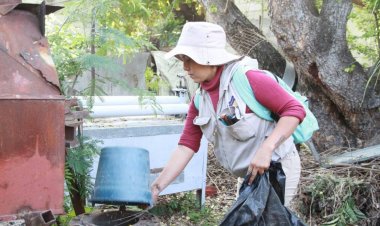 Ayuntamientos ruegan a la gente que apoye con descacharrización