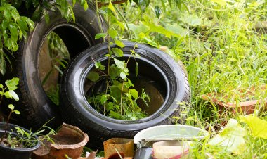 En el Oriente exigen a las autoridades medidas contra el dengue en escuelas