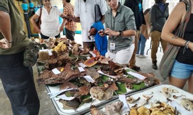 Dio impulso el CIB al patrimonio biocultural con Fiesta del Hongo